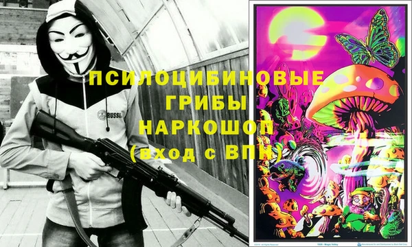 альфа пвп Армянск